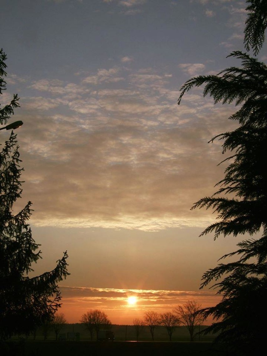 Wstaje nowy dzień, Jeszcze jeden dzień! Wschód słońca nad Zbąszyniem - maj 2020 r. [Zdjęcia]