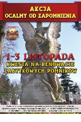 Kwesta na cmentarzu w Żychlinie