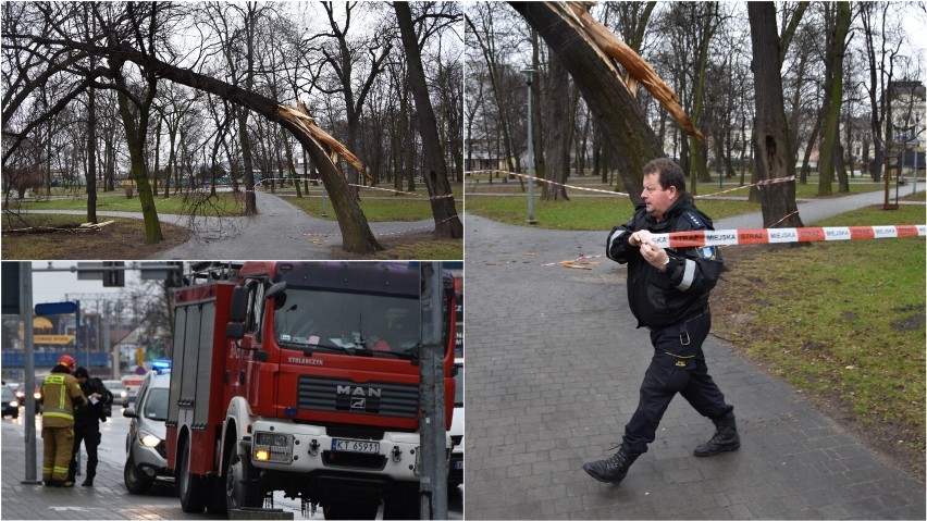 Silne podmuchy wiatry złamały drzewo na plantach kolejowych...