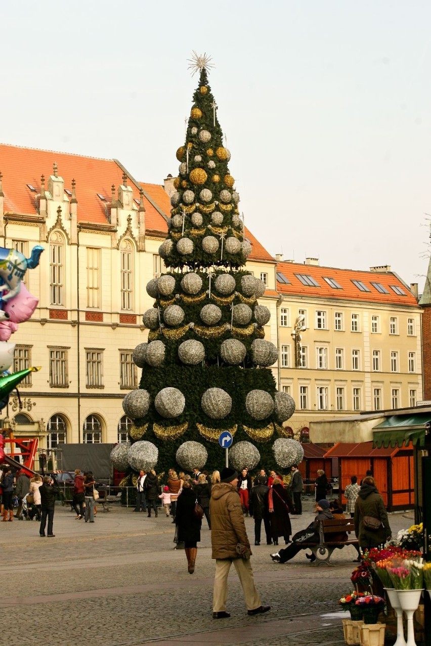 Wrocław: Na Rynku choinka już stoi. Rozbłyśnie 6 grudnia (ZDJĘCIA)