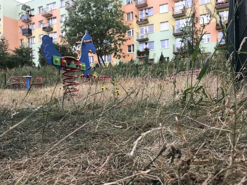 Plac zabaw na osiedlu Wichrowe Wzgórze w Kielcach - błoto, kleszcze i dewastacje [ZDJĘCIA]