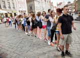 Poznań: Na Starym Rynku zrobili ciuchcię i żywe domino [ZDJĘCIA, WIDEO]