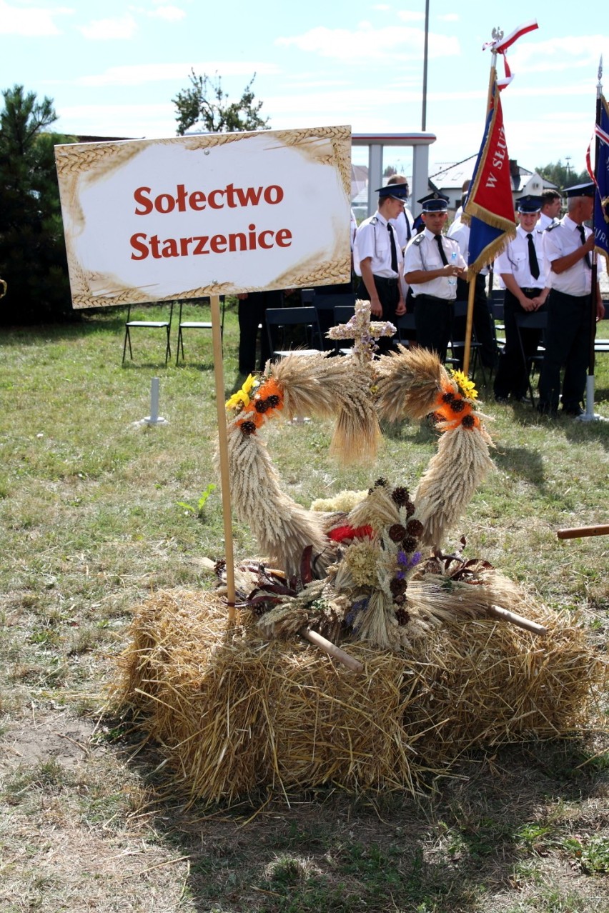 Gminne Dożynki w Dąbrowie pod Wieluniem[ZDJĘCIA]