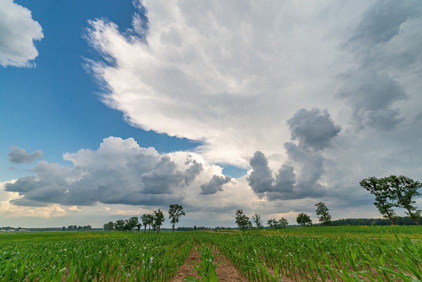 Burza w Lipnie, Skępem i okolicy