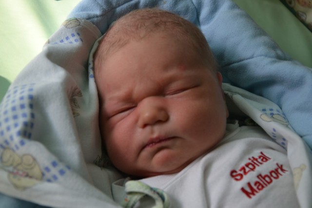 Gabriel Sawicki z Nowej Wsi Malborskiej, ur. 4.10.2014 r., godz. 12.40, 4580 g, 62 cm, szpital w Malborku