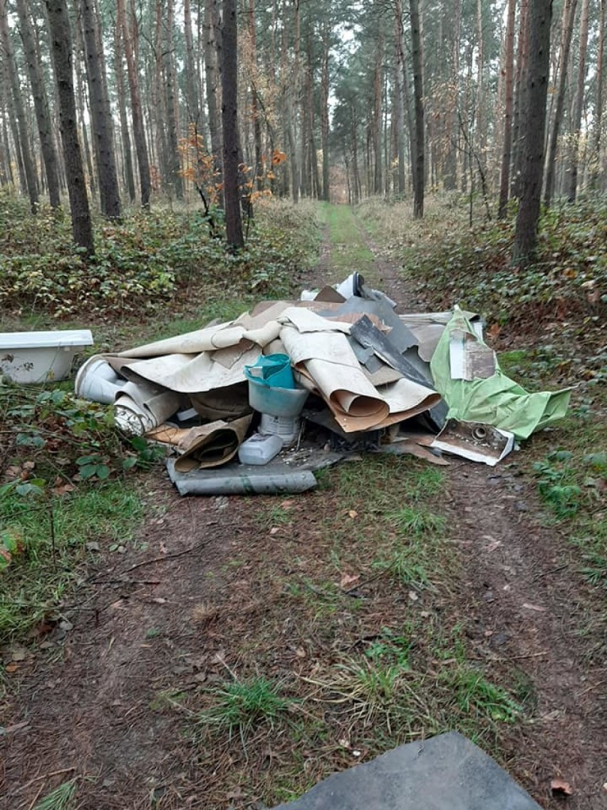 Śmieci w lesie. Ktoś zostawił odpady między Kozłowem a...