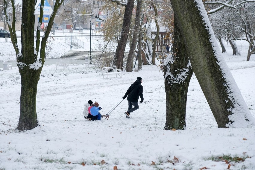 Jaka pogoda czeka nas w najbliższych dniach? Sprawdź...