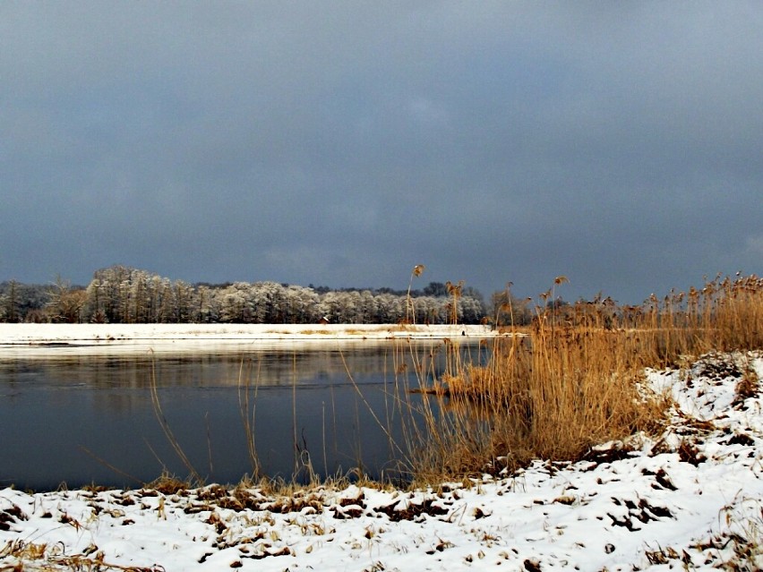 Tereny nadodrzańskie zimą (zdjęcia)