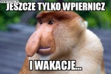 Koniec roku szkolnego MEMY. Początek wakacji na wesoło