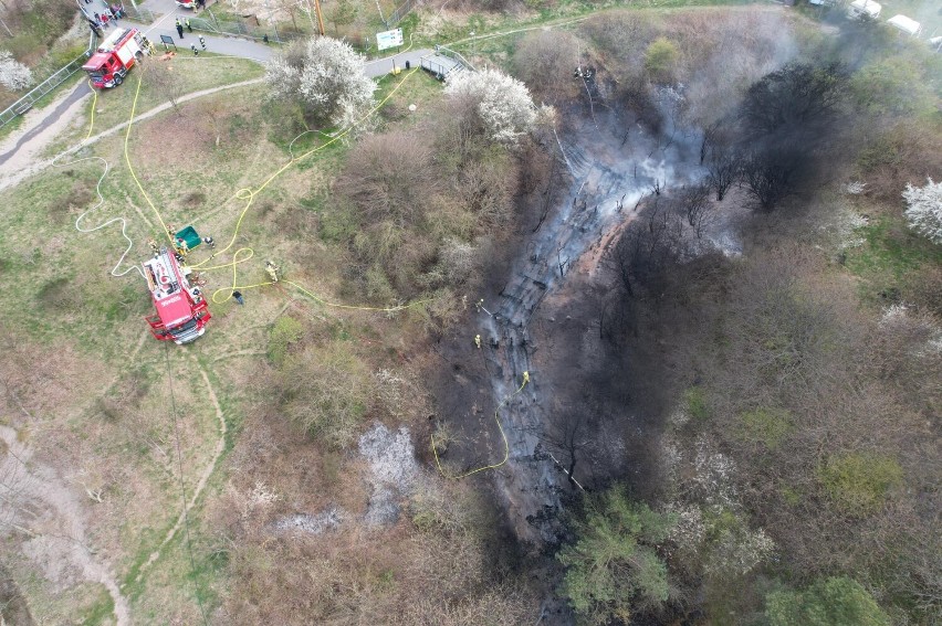 Paliły się schody - zejście na plażę w Chłapowie (27.04.2022). Czarna chmura dymu nad Bałtykiem. Walczyło 11 zastępów straży | ZDJĘCIA