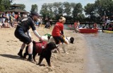 Akcja "Kręci mnie bezpieczeństwo". Specjaliści uczyli nad Gopłem w Kruszwicy jak bezpiecznie zachowywać się na plaży i w wodzie [zdjęcia]