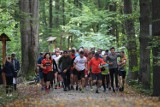 Rześko i słonecznie w Zielonym Lesie, a biegacze niezmordowanie biegają parkrun w Żarach