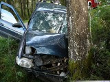 Ford uderzył w drzewo. Kierowca trafił do szpitala