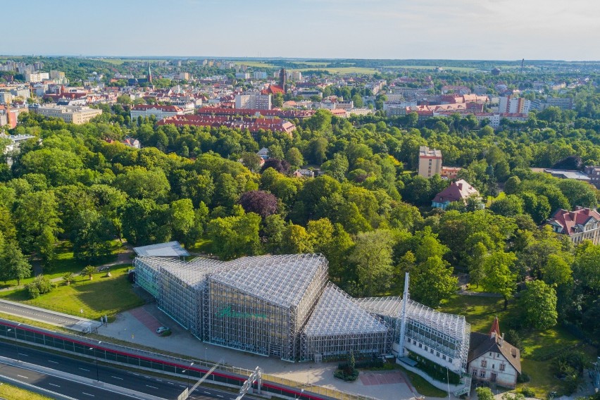 Gliwice: Palmiarnia czynna od niedzieli, 31 maja. Siedem dni w tygodniu