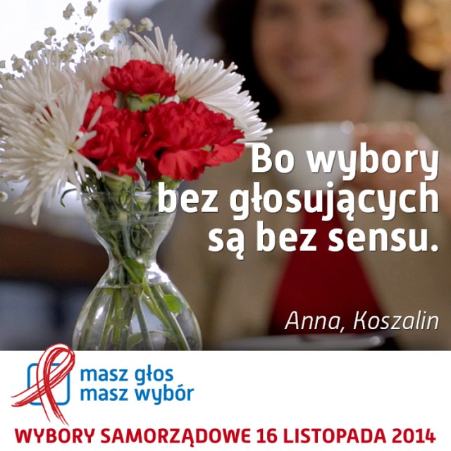 Materiały informacyjne pochodzące ze strony akcji Masz Głos Masz Wybór - kampania profrekwencyjna maszglos.pl