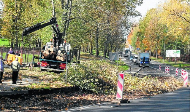 Na Katowickiej wycięto drzewa pod przebudowę gazociągu i energetyki. Bez tego rondo nie powstanie