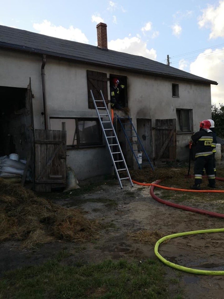 Pożar budynku gospodarczego w Lesznie - w drodze na akcję zasłabł strażak z Łapalic