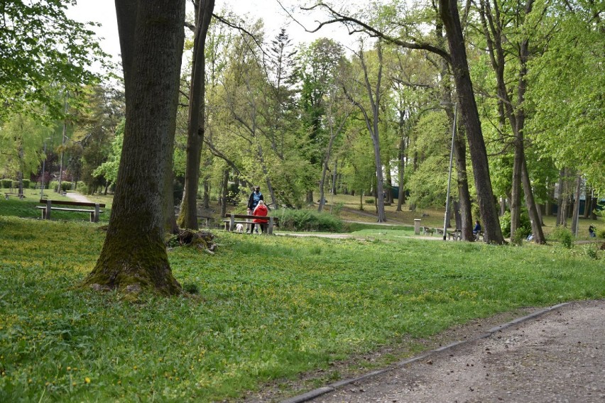 Majówka podczas epidemii. Spacerowicze w parkach i na ulicach