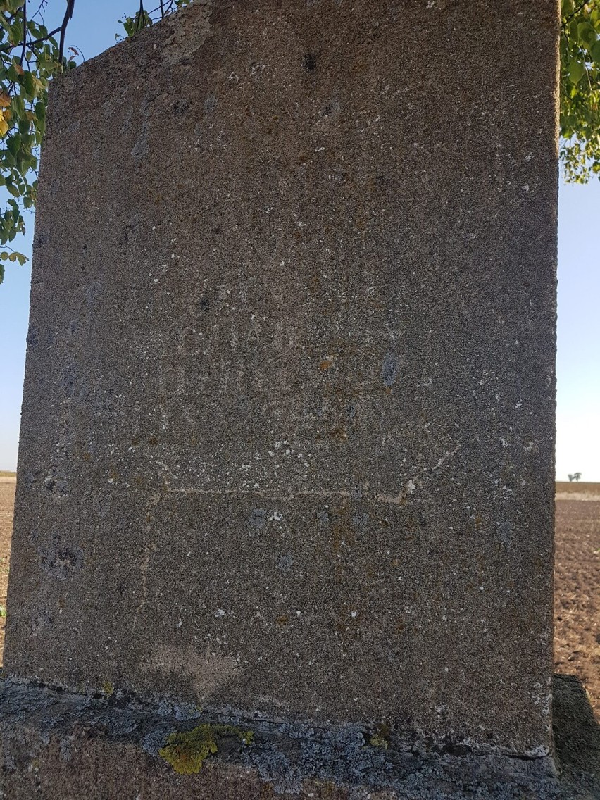 Gmina Gniezno. Poszukiwali ciał rozstrzelanych przez hitlerowców w Zdziechowie. Znaleźli jedno ciało [FOTO]