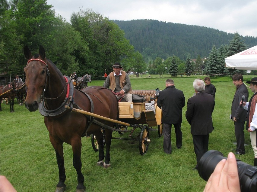 Zakopane: góralskie dorożki są w pełni sprawne [FOTO]