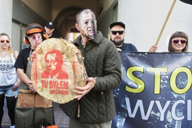 Manifestacja pod siedzibą PiS. Pikietują w obronie puszczy