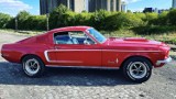 WOŚP Gniezno. Możesz wylicytować przejażdżkę Fordem Mustangiem z 1968 roku!
