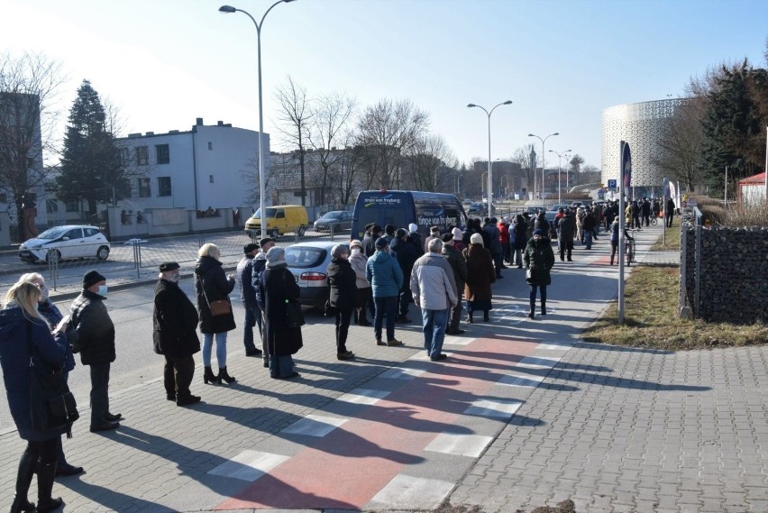 Długa kolejka na ulicy Radiowej w Kielcach. Mnóstwo chętnych po budki lęgowe dla jerzyków i sikorek [ZDJĘCIA]