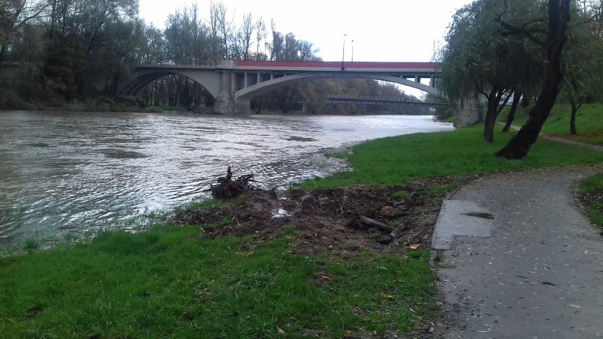 Stany ostrzegawcze na Sole i Wiśle