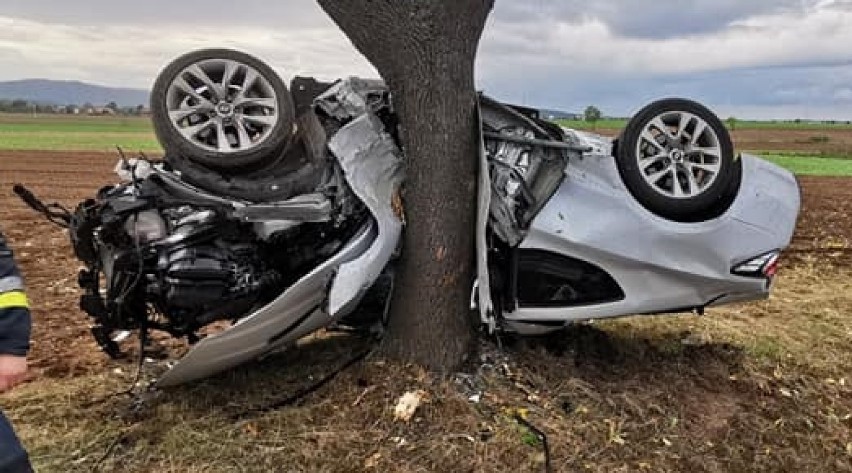 Auto owinęło się na drzewie. To niebywałe co się stało z 18-letnim kierowcą [ZDJĘCIA] 