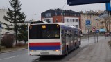 Jeszcze więcej nowoczesnych autobusów w Bydgoszczy 