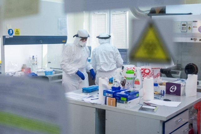 Dane statystyczne dotyczące pandemii koronawirusa w czwartek, 24 lutego 2022 roku.