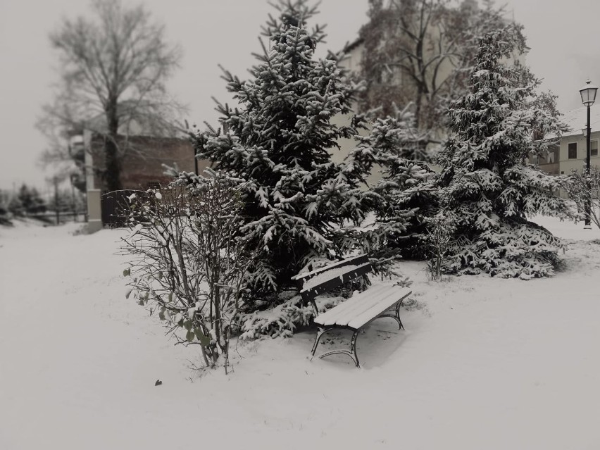 Zobaczcie, jak pięknie się robi, kiedy jest śnieg.