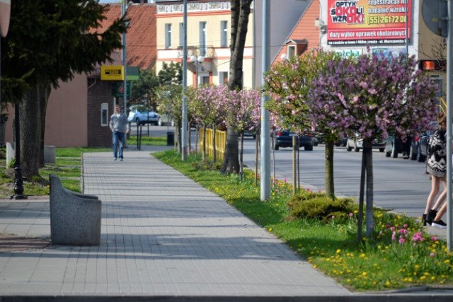 Nowy Dwór Gdański. Kwitnąca ulica Sikorskiego