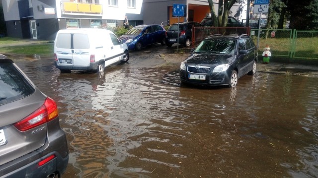 W całym regionie jest bardzo ciepło i parno. W wielu miejscach już grzmi i pada. Potężna ulewa przeszła po godz. 16.00 m.in nad Zieloną Górą, pada też w Krośnie. IMGiW wydał ostrzeżenie dla naszego regionu. 



Na szczęście w Zielonej Górze burza trwała krótko, ok. 16.30 niebo zaczęło się rozpogadzać. To jednak nie koniec burzowego popołudnia. Front przynoszący gwałtowną pogodę ciągnie się z północy na południe, prawie przez całe województwo.