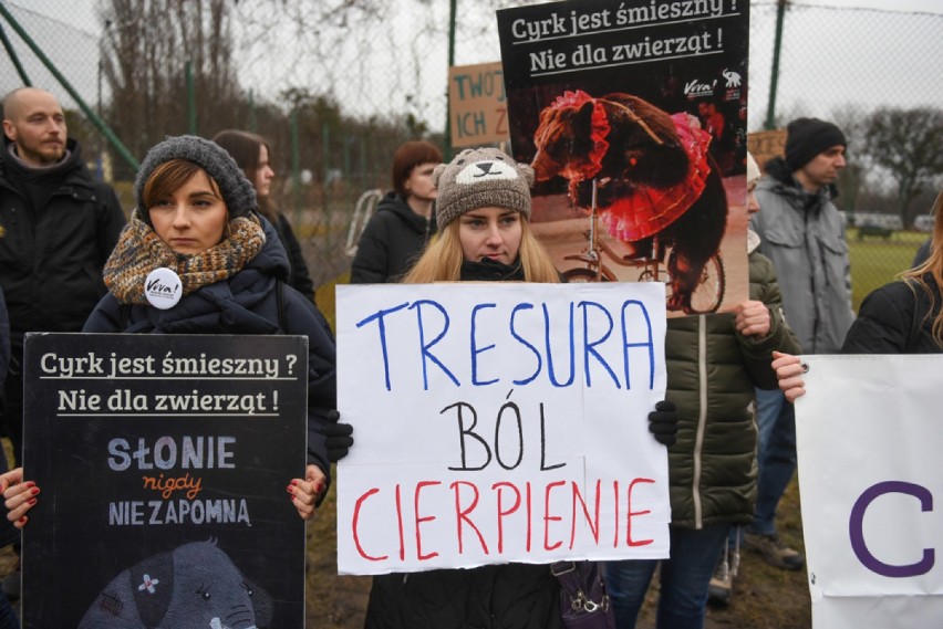 Poznań: Protest przed cyrkiem na Winogradach