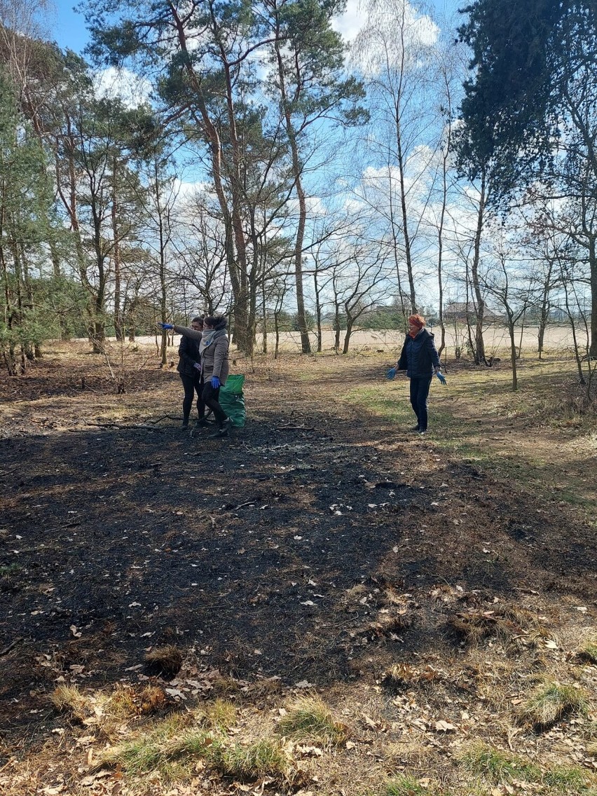 „Misja Wór” w gminie Stawiszyn. Mieszkańcy sprzątali okolice wzdłuż trasy wąskotorówki. ZDJĘCIA