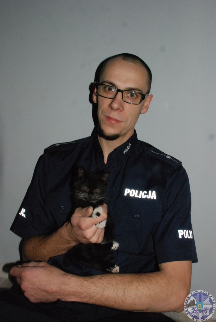 Policjant KPP Puck adoptował kota z Brudzewa. Ocalony...