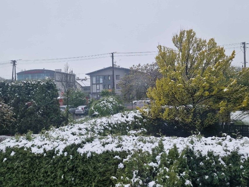 Śnieżny kwietniowy poranek w Bielsku-Białej.