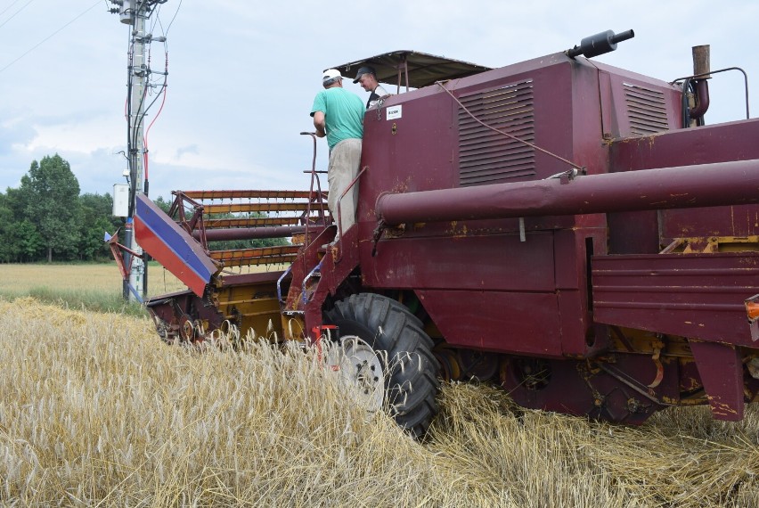 Gmina Gniezno. Zakończyły się żniwa. Z jakimi problemami borykali się rolnicy?