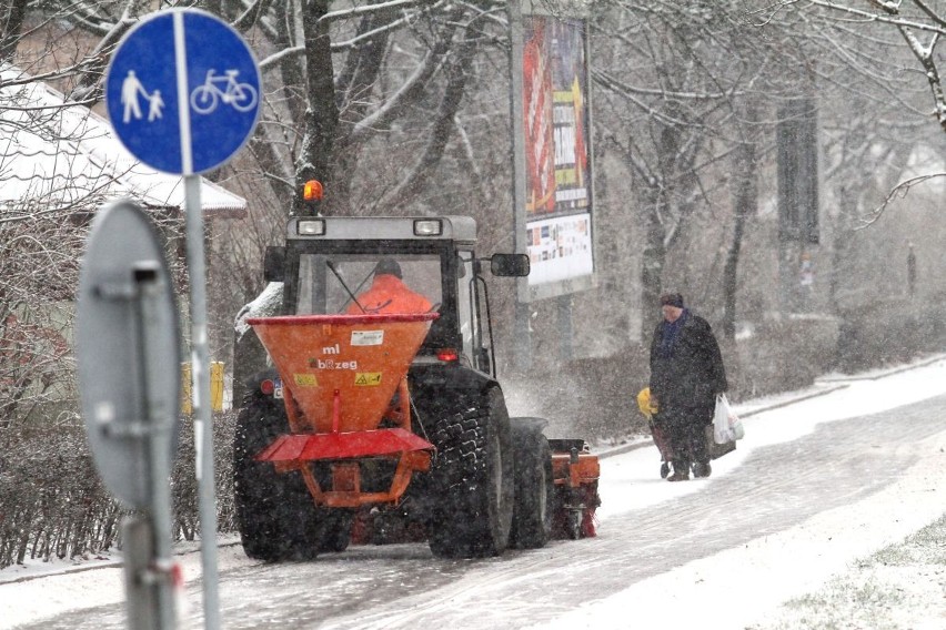 Pierwszy śnieg we Wrocławiu (ZDJĘCIA)
