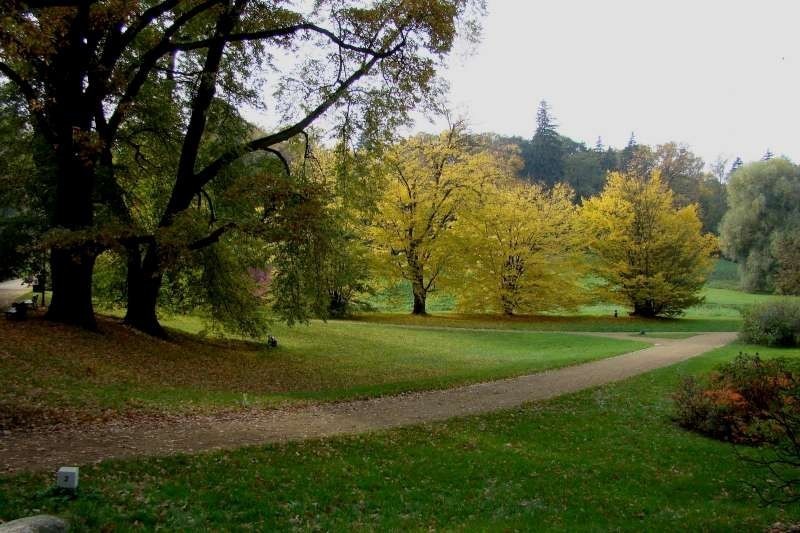 Gołuchów - park jesienią