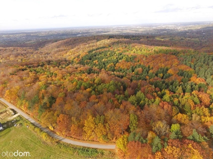 Świebodzin, tarnowski, małopolskie
49 000 zł
21 100 m²
2...