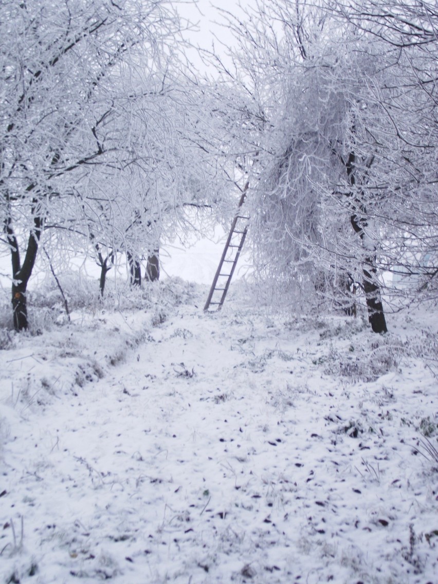 Zimowy Kaźmierz w obiektywie Kornelii Świst