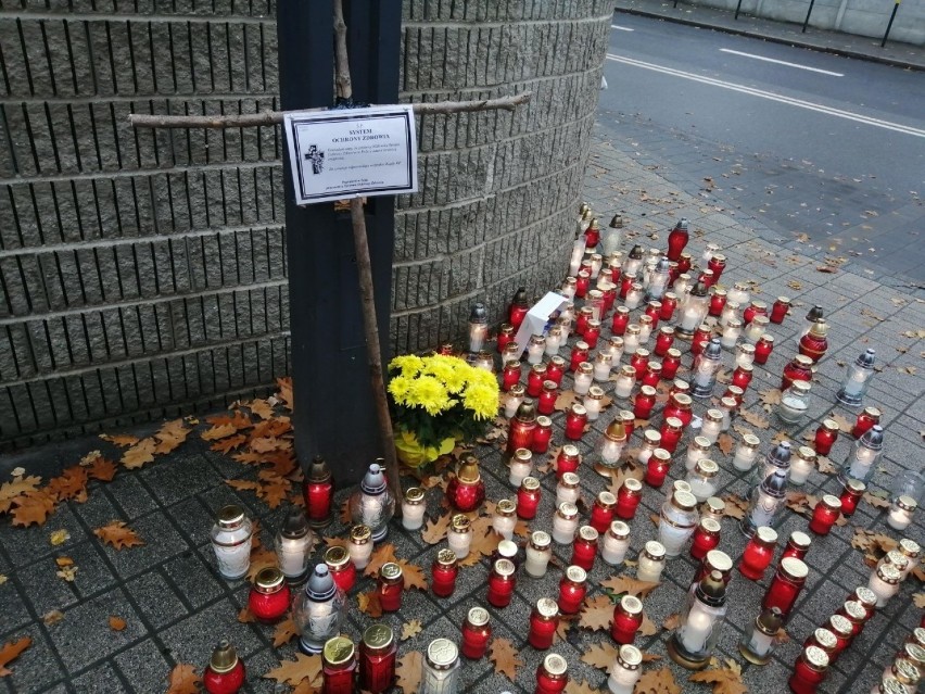 ]Protest lekarzy. Znicze i tablice przypominające nekrologi...