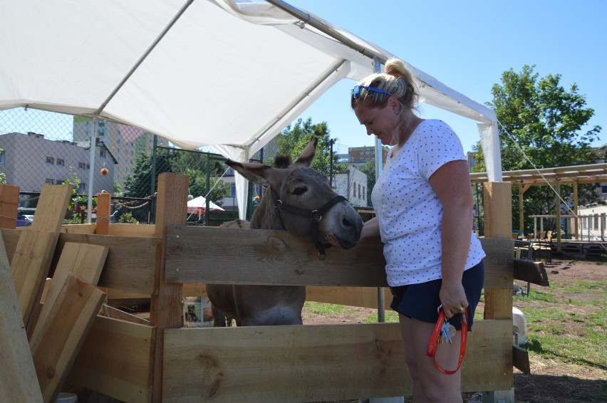 Konflikt między urzędnikami a fundacją z Chyloni odbija się na mieszkańcach