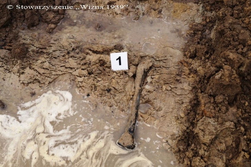 W Wiźnie odnaleziono ludzkie szczątki. "To dowody niemieckiej zbrodni " informuje Dariusz Szymanowski [zdjęcia]