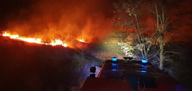 Nocny pożar traw na nieużytkach przy ul. Urzędniczej w Libiążu