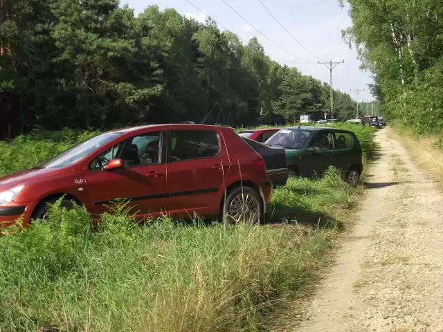 Upały, tłumy ludzi, brak miejsc na parkingach - kierowcy zostawiają samochody gdzie popadnie