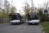 Po długiej przerwie wracają autobusy do Krotoszyna