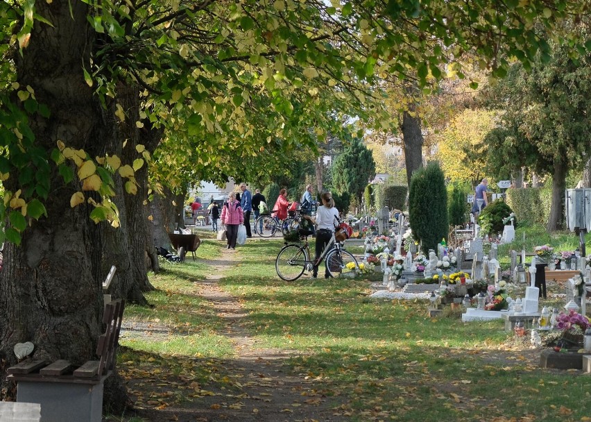 Tradycyjnie przed świetami listopadowymi porządkujemy groby...